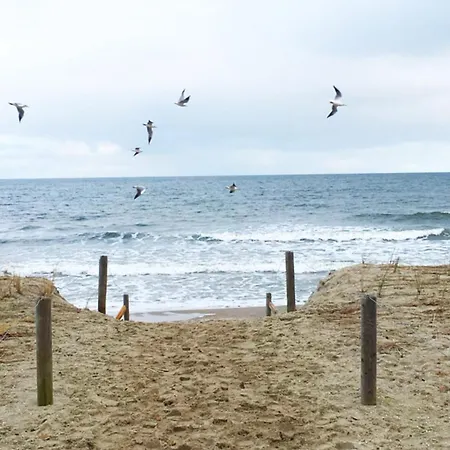 Beim Windmüller App 2,3,4,5 Koserow