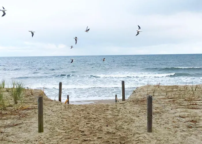 Beim Windmueller App 2,3,4,5 Koserow